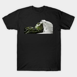 Double exposure baby T-Shirt